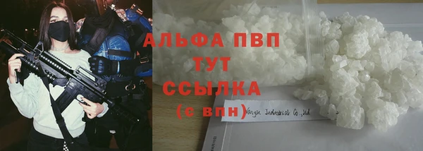 тгк Богданович