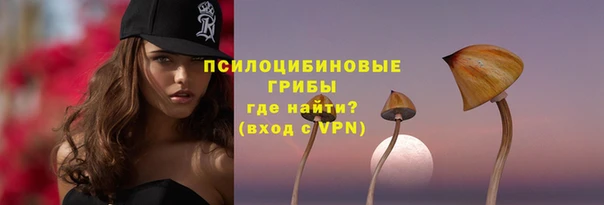 тгк Богданович