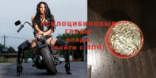 молекула духа Богородск