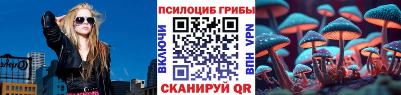 Псилоцибиновые грибы мицелий  Санкт-Петербург 